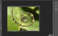 免费图像编辑RealWorldPaint2011.1免费多语中文版